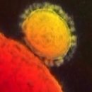 임홍섭내과의원 이미지