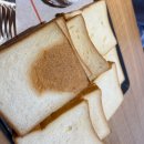 마실커피 신대부적점 | ☕ 경산 신대부적 카페 <더웨이투커피> — (내돈내산)넓고 여유로운 공간에서 즐긴 빵과 음료 후기 🍑