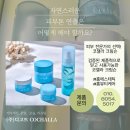 코챌라 프로모션 혜택 및 제품 가격, 리얼 사용후기