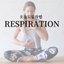 필라햅 스튜디오