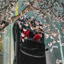 포곡읍 행정복지센터 이미지