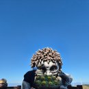 보리수 | 의령 감성가득 농가맛집💚 정성 듬뿍 보리수 한정식 후기