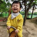 하당근린공원 이미지