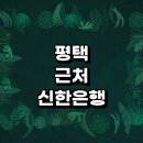 신한은행 평택금융센터 | 평택시 근처 신한은행 추천 가까운곳 금시세 주택담보대출 예금 본점 인터넷뱅킹 적금 체크카드 신용...