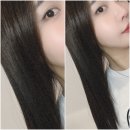 O2헤어살롱 | WT메소드 목동점 두 번째 방문기! 두피+모발관리 풀코스