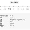 스카이커피랩 이미지