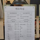 메슈왁싱