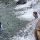 지리산장당계곡식당 이미지