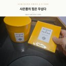 계획보다 돈 더 쓴 아쿠아 디 파르마 카 디퓨저 후기