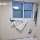 현대쎈트럴파크 | 부천 현대 센트럴파크 도배 시공 후기