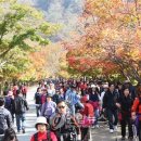 내장산관광안내소 이미지