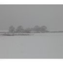 경안천습지생태공원 이미지