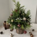 12/4 크리스마스 생화 트리 이미지
