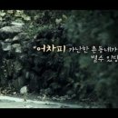 나비왕