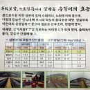 삼전로95앞 | [또 가고 싶은 식당 추천] 잠실 맛집 논두렁 우렁쌈밥 본점 할인 영업시간 가는길