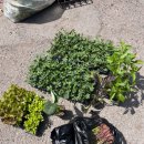 오산농업협동조합 경제사업장 이미지