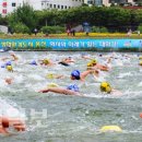 태화강 물축제 16만여명 즐겨 이미지