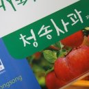 청송사과 - 서구 벌곡로 656 | 청송사과