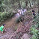 민지네 농장 이미지