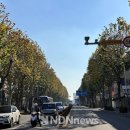 참외전로 이미지