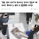 뿌리동물병원 네이버블로그