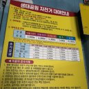 자전거공원 | 부산 삼락생태공원 자전거 대여 마차 대여 후기