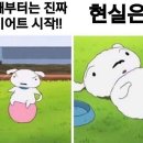24핏앤(Fit &)점핑다이어트