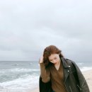 1204 이미지