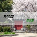 제주 삼성혈 | 제주 벚꽃 명소 삼성혈 포토존, 3월말 방문 후기