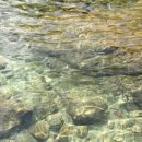 백운쉼터가든 이미지