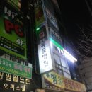 이상한 나라의 러시안블루 레이 (영천동물병원추천 후기)