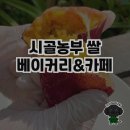 건강한 맛, 시골농부 쌀베이커리&amp;카페 방문 후기