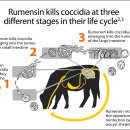 병인목장 이미지