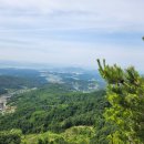 셀메드단골약국 이미지