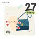 (주)포레나무병원 | 임신 27주차, 28주차 | 루시아이트리, 중문시공, 마이포레 배냇저고리, 아뜰리에슈, 입체초음파 성공👶🏻💓