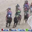 데이,그룸 이미지