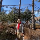 어썸데일리