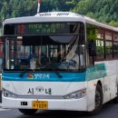 강원 74자 1009 이미지