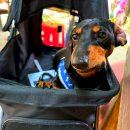 우디네 점빵 이미지