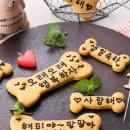 아이스팡팡 이미지