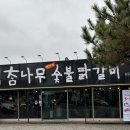 맥반석위에 구워지는 닭갈비 춘천맛집 참나무숯불닭갈비 막국수 분점