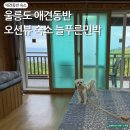 늘푸른민박 이미지