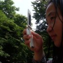 백운산 캠핑장 이미지