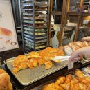 삼성보건지소 이미지