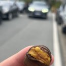 황룡강변2 | 2025 장성황룡강가을꽃축제 , 충장축제 그리고 장성피크닉까지