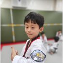 삼각태권도 이미지