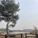단이식당 이미지