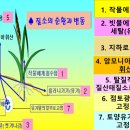 7. 비료 이야기 - 탄소, 수소, 산소, 질소 이미지