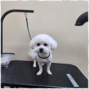 행복한미용실 이미지