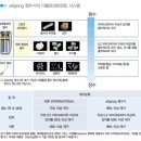 [건강생활-5탄]＜미네랄의 역설＞ mbc동영상 정리 이미지